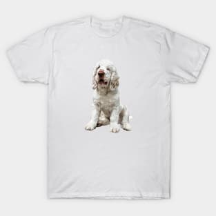 Clumber Spaniel Love that face! T-Shirt